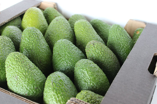 Aguacate-Premium-Hass-1