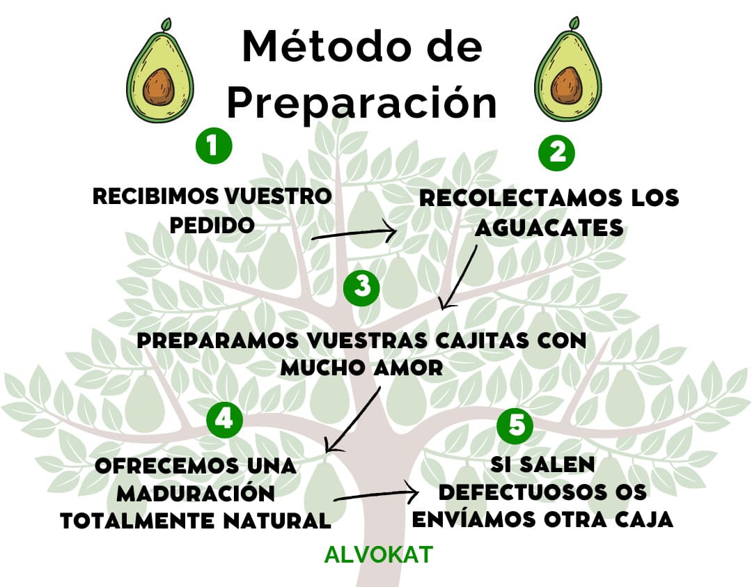 preparación-Aguacates-alvokat-1